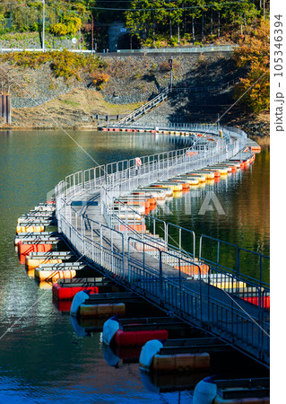 東京奥多摩 紅葉の奥多摩湖 麦山の浮橋 東京奥多摩 紅葉の奥多摩湖 麦山の浮橋 105346394