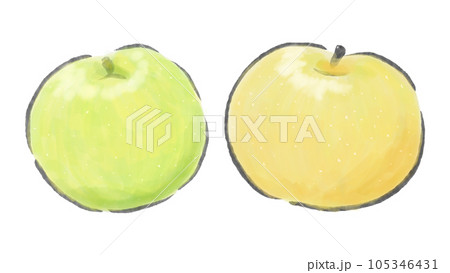 梨の絵 手描き水彩で描いた一つの梨 とカット梨のイラストのイラスト素材