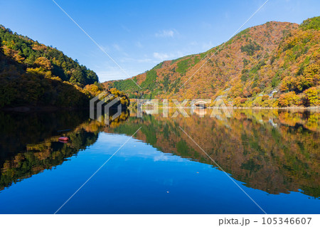 東京奥多摩　紅葉の奥多摩湖 105346607