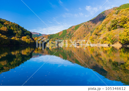 東京奥多摩 紅葉の奥多摩湖 東京奥多摩 紅葉の奥多摩湖 105346612