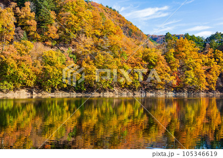 東京奥多摩 紅葉の奥多摩湖 東京奥多摩 紅葉の奥多摩湖 105346619