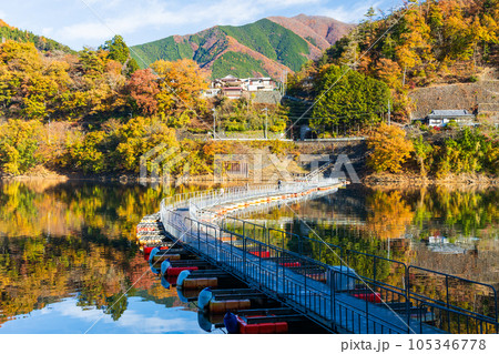 東京奥多摩　紅葉の奥多摩湖　麦山の浮橋 105346778