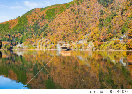 東京奥多摩 紅葉の奥多摩湖 東京奥多摩 紅葉の奥多摩湖 105346878