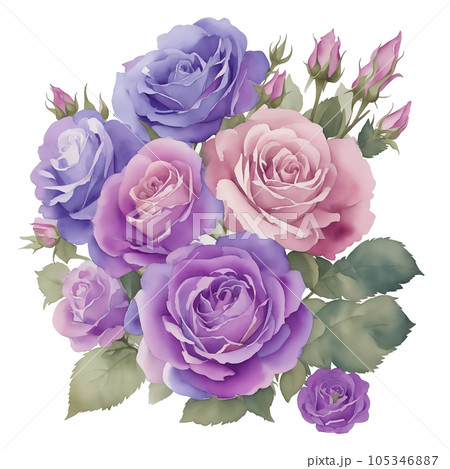 Violet roses bouquet Violet roses bouquet 105346887