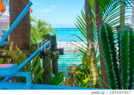 ウミカジテラス 沖縄 海 エメラルドグリーン 南国 トロピカル テラス席 カフェ 観光地 リゾート 105347037