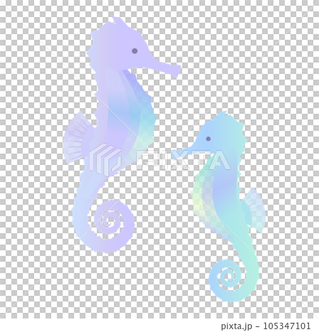 タツノオトシゴの親子（グラデーション）のイラスト 105347101