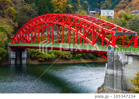 東京奥多摩　紅葉の奥多摩湖　峰谷橋 105347234