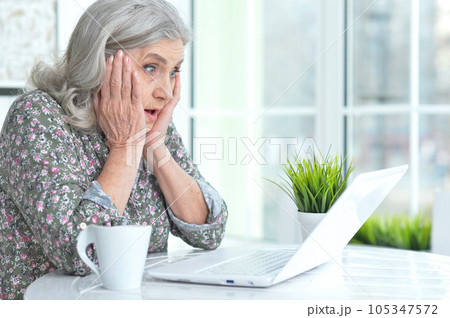beautiful senior woman using laptop at home 105347572