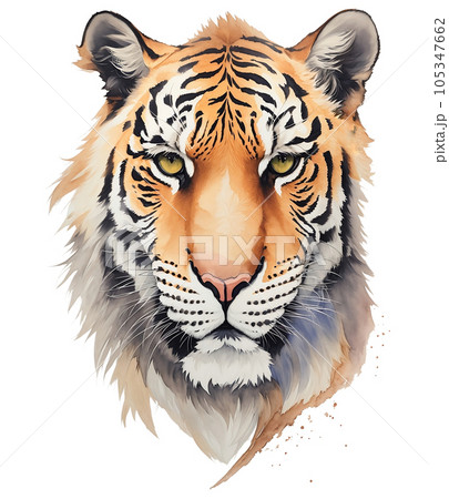 Tiger head Tiger head 105347662