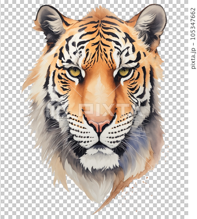 Tiger head Tiger head 105347662