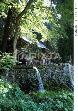 夏の大滝神社 105348177
