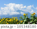 ひまわりと夏雲と甲斐駒ヶ岳 105348180