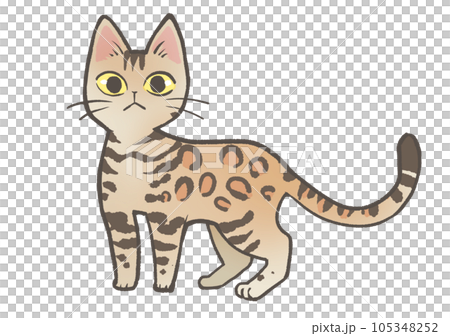 Bengal 105348252