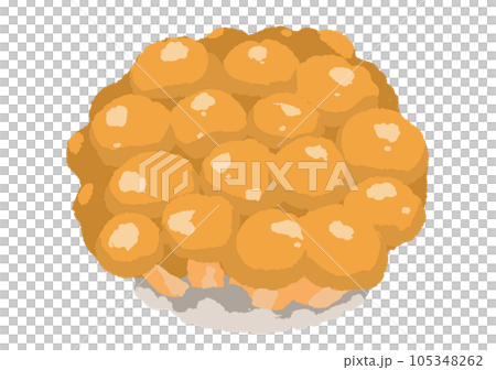 Nameko Nameko 105348262