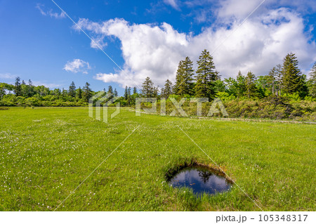 神仙沼湿原 神仙沼湿原 105348317