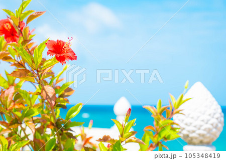 ハイビスカス アメリカンビレッジ 海 エメラルドグリーン  青空 南国 沖縄 旅行 観光地  105348419