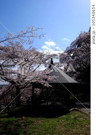 四阿と散り桜 【相模原市津久井 3月】 四阿と散り桜 【相模原市津久井 3月】 105348654