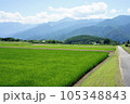夏の水田と南アルプス 105348843