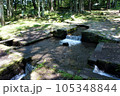 夏の三分一湧水 105348844