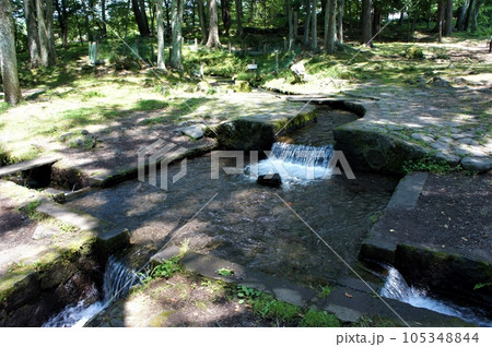 夏の三分一湧水 夏の三分一湧水 105348844