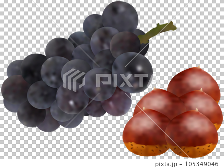 "Chestnut" and "Grape" New Pione 105349046