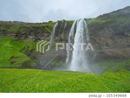 Seljalandsfoss waterfall in summer season in Iceland. Famous nature landscape background Seljalandsfoss waterfall in summer season in Iceland. Famous nature landscape background 105349666
