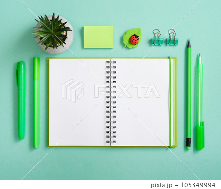 Empty page with green pen, pencil and marker on pastel green back 105349994
