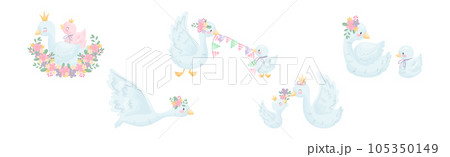 Beautiful White Swan or Goose with Golden Crown and Floral Arrangement Vector Set 105350149