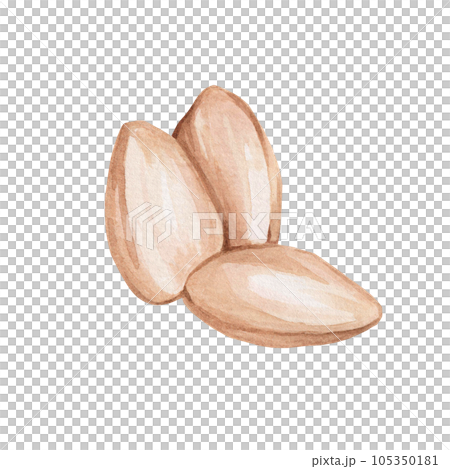 Watercolor illustration of a handful of sunflower seeds, a nut on a white background. Healthy fruit, vegetarian food Watercolor illustration of a handful of sunflower seeds, a nut on a white background. Healthy fruit, vegetarian food 105350181