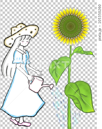 給向日葵澆水的女孩 105350260