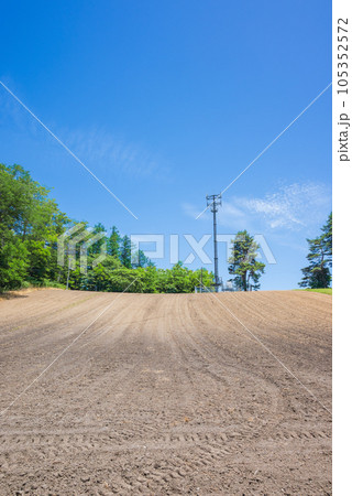 丘に作られた畑【長野県】 105352572