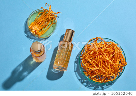 Cordyceps placed on glass petri dishes decorated with two transparent glass bottle. Cordyceps helping improve memory and sexual function Cordyceps placed on glass petri dishes decorated with two transparent glass bottle. Cordyceps helping improve memory and sexual function 105352646