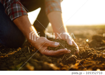 Male hands touching soil on the field. Expert hand of farmer checking soil health before growth. 105352710
