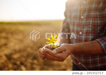 Male hands touching soil on the field. Expert hand of farmer checking soil health. Ecology concept. 105352717