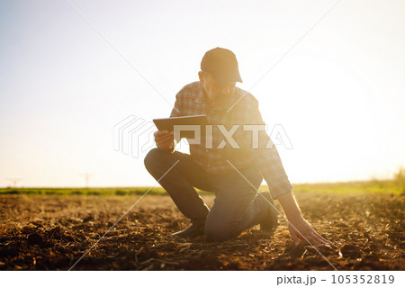 Male hands touching soil on the field. Expert hand of farmer checking soil health. Ecology concept. Male hands touching soil on the field. Expert hand of farmer checking soil health. Ecology concept. 105352819