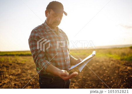 Expert hand of farmer checking soil health before growth a seed of vegetable or plant seedling. 105352821