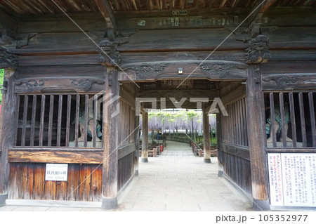 長泉寺門から藤の花が覗く 長泉寺門から藤の花が覗く 105352977