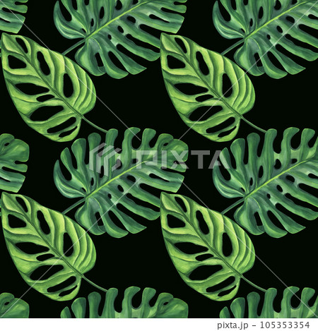 Seamless endless pattern. Green palm leaves Monstera. Jungle tropical exotic foliage. Hand-drawn watercolor illustration isolated black background. Textile, print, wrapping paper Seamless endless pattern. Green palm leaves Monstera. Jungle tropical exotic foliage. Hand-drawn watercolor illustration isolated black background. Textile, print, wrapping paper 105353354