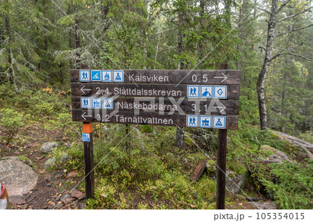 hiking footpath in forest between trees in Skuleskogen National Park in Sweden in northern Europe Hoga Kusten 105354015
