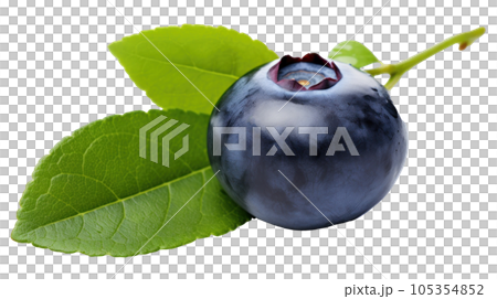 Fresh blueberry isolated 105354852