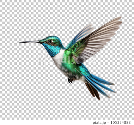 Flying hummingbird isolated 105354888