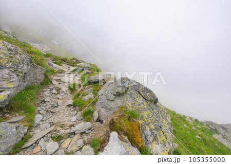 romanian nature scenery on a foggy day. mountainous landscape with steep rocky hills. summer vacations in fagaras 105355000