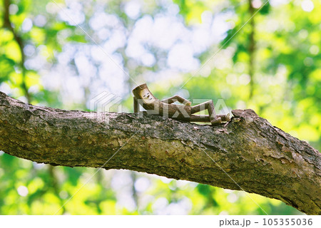 可愛らしい木の精霊、木の上で昼寝をしている、夏休み 可愛らしい木の精霊、木の上で昼寝をしている、夏休み 105355036