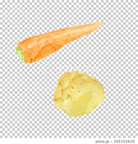 胡蘿蔔和土豆水彩矢量圖 105355629
