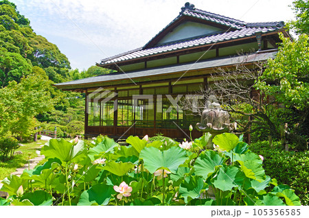 山口県下関市の廻遊式庭園静かな佇まいの長府庭園書院と蓮 105356585