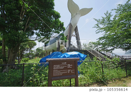 山口県下関市関見台公園にある大きなモニュメント鯨館 山口県下関市関見台公園にある大きなモニュメント鯨館 105356614
