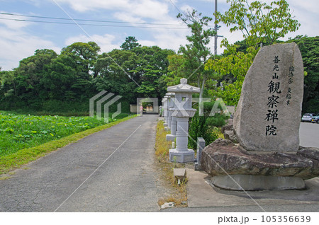 山口県下関市の臨済宗観察禅院参道と蓮田 105356639
