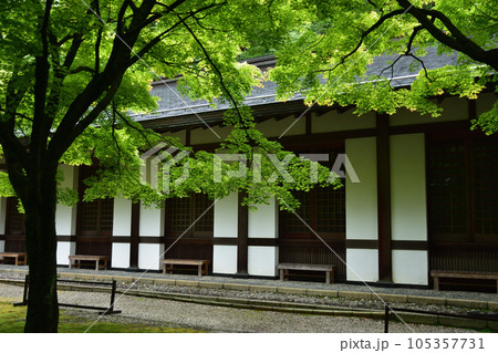 呑山観音寺 105357731