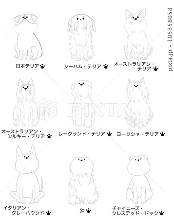 かわいい小型犬イラストセット かわいい小型犬イラストセット 105358058