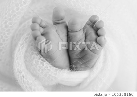 Close-up of tiny, cute, bare toes, heels and feet of a newborn girl, boy. Baby foot on soft coverlet, blanket. Detail of a newborn baby legs Macro horizontal professional studio black and white photo  105358166